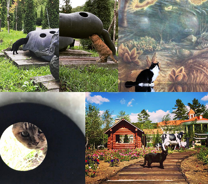 美術館と共に生活する猫たち