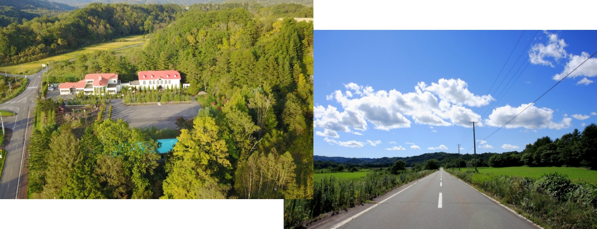 大自然の中の美術館